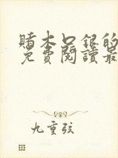 赌木口银的小说免费阅读最新封面