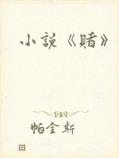 小说《赌》