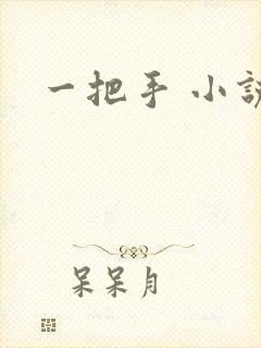 一把手 小说