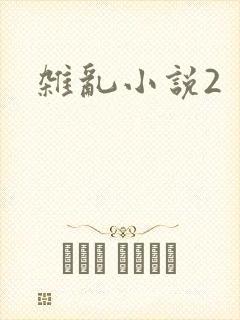 杂乱小说2