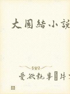 大团结小说阅读