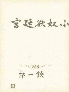 宫廷欲奴小说封面
