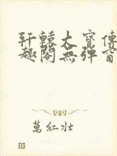 轩辕大宝传奇笔趣阁无弹窗
