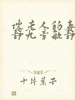 坏老人的春天敏静九章敏静