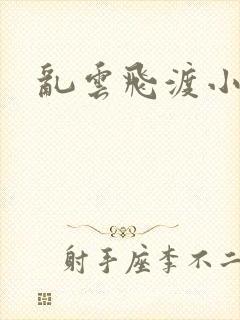 乱云飞渡小说
