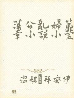 荡公乱妇第51章小说小莹