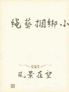 绳艺捆绑小说