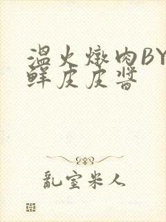 温火炖肉BY海鲜皮皮酱