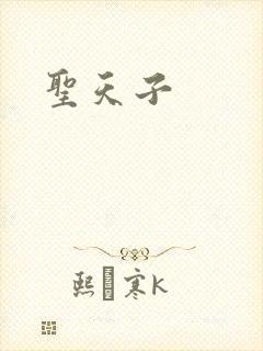 圣天子封面