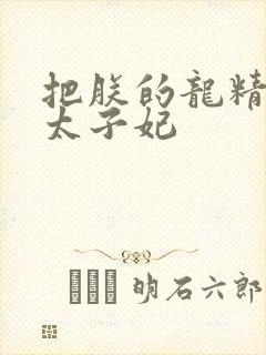 把朕的龙精含h太子妃封面