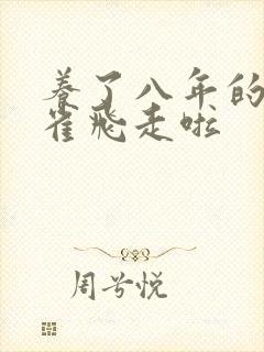 养了八年的金丝雀飞走啦