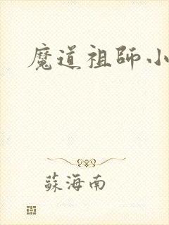 魔道祖师小说封面