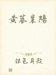 黄蓉襄阳封面