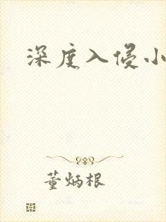 深度入侵小说