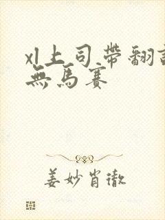 xl上司带翻译无马赛