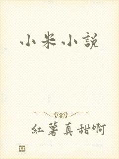 小米小说