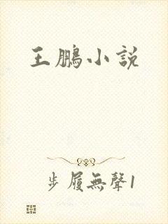 王鹏小说封面
