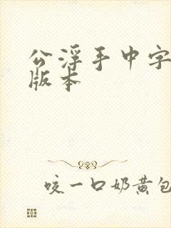 公浮手中字最新版本封面