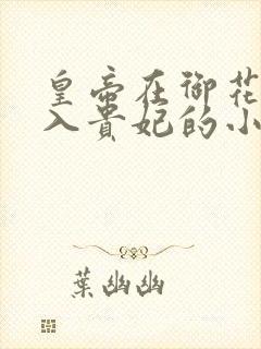 皇帝在御花园进入贵妃的小说