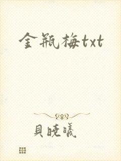 金瓶梅txt封面