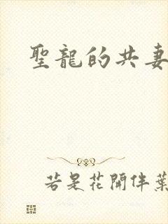 圣龙的共妻