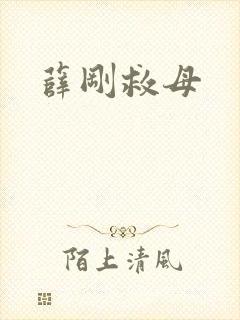 薛刚救母
