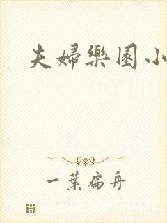 夫妇乐园小说