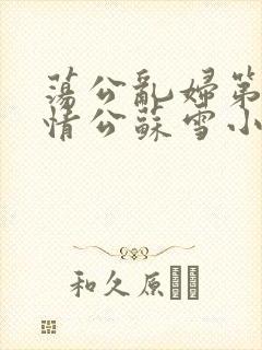 荡公乱妇第1章情公苏雪小说