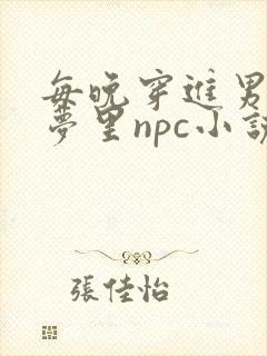 每晚穿进男神的梦里npc小说