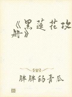 《黑莲花攻略手册》