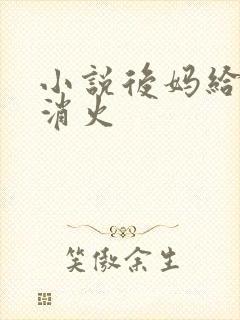 小说后妈给我消消火