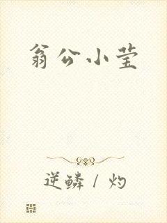 翁公小莹