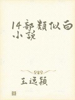 14部类似白洁小说封面