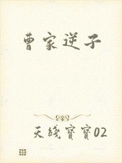 曹家逆子封面