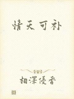 情天可补