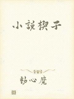 小说楔子封面