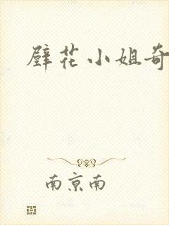 壁花小姐奇遇记封面