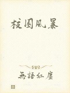 校园风暴封面
