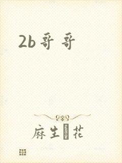 2b哥哥
