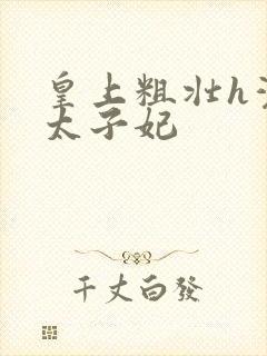 皇上粗壮h灌满太子妃