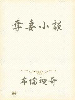 夺妻小说