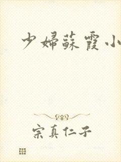 少妇苏霞小说封面