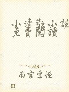 小清欢小说全文免费阅读