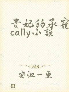 贵妃的承宠日常cally小说