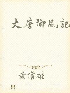 大唐御风记封面