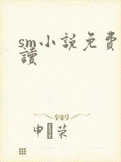 sm小说免费阅读封面