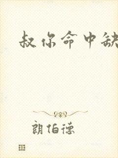 叔你命中缺我