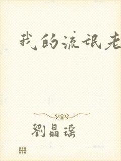 我的流氓老师