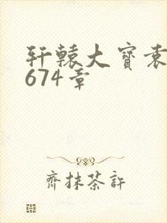 轩辕大宝袁雪妃674章