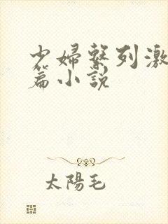 少妇系列激情短篇小说
